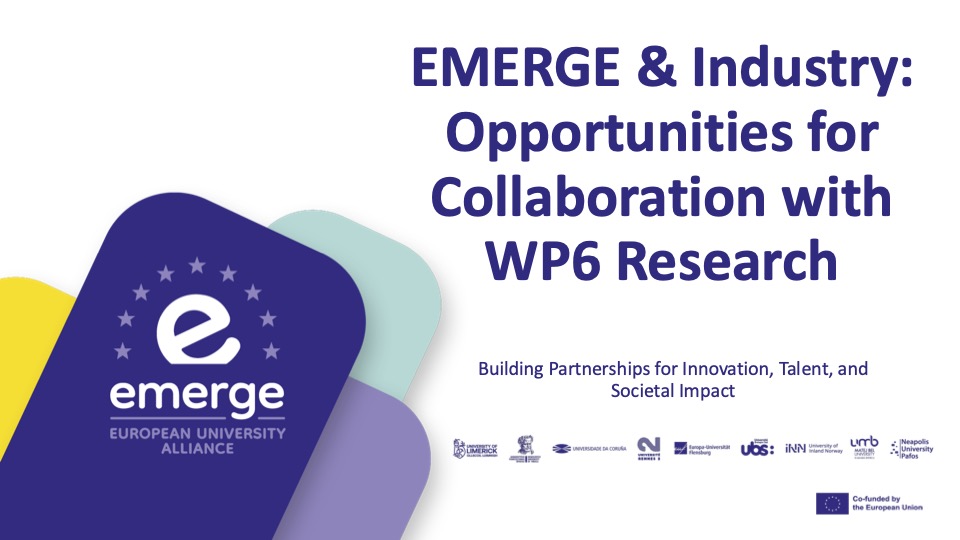 Presentation_EMERGE_WP6_Companies_DEC2025_LONG